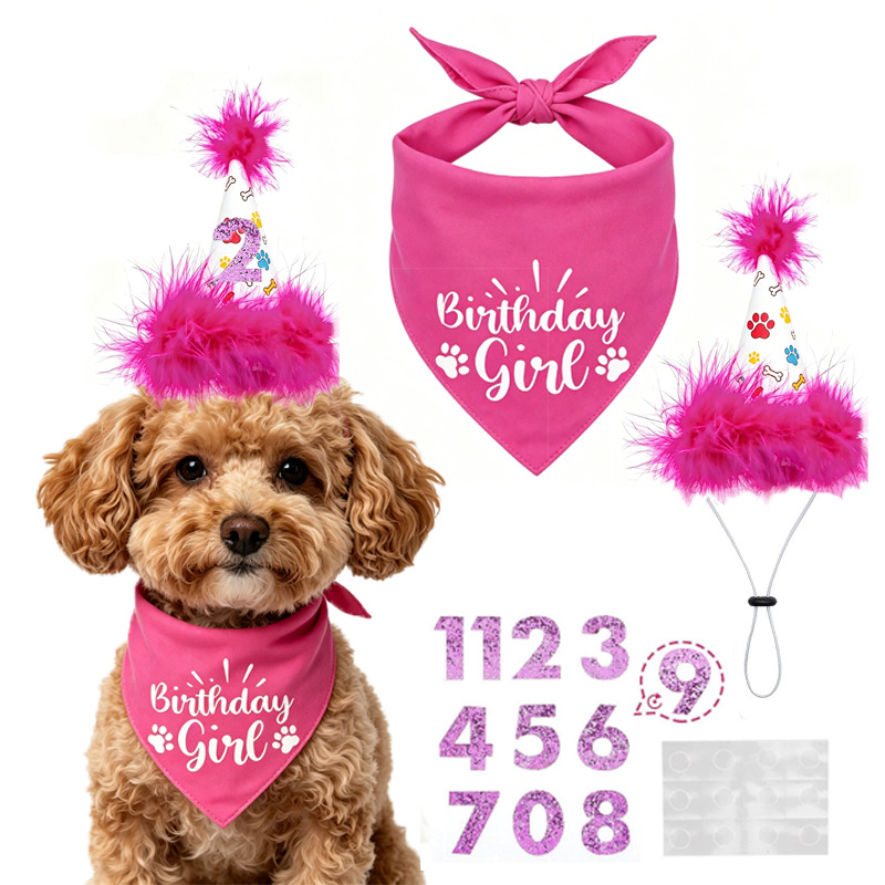 Pet Supplies In Bulk - Conjunto de Festa de Aniversário para