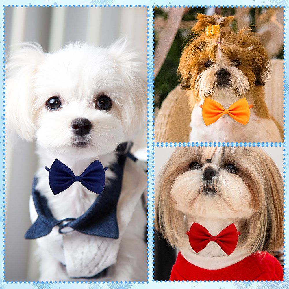 Pet Supplies In Bulk - Coleiras Ajustáveis com Laço para Cães,