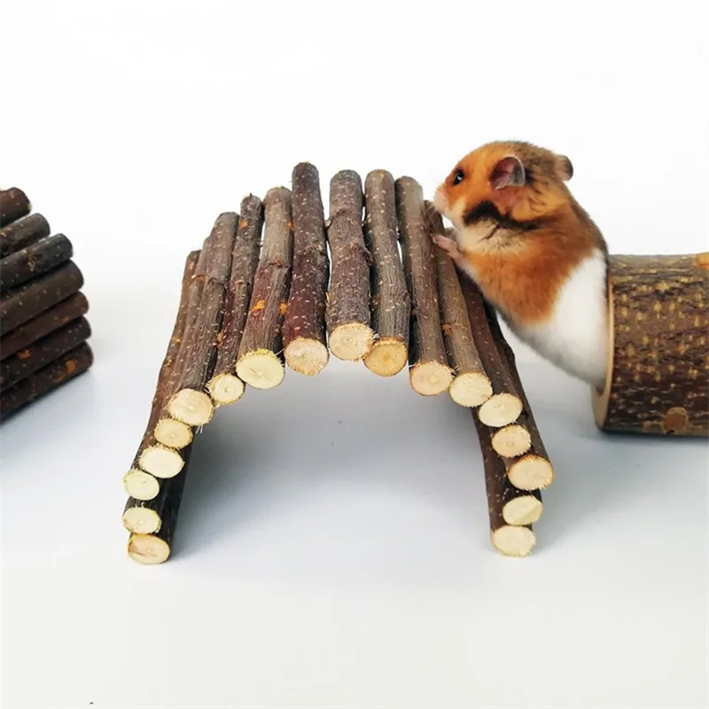 Pet Supplies Login - Pequeno animal de estimação molar ramo