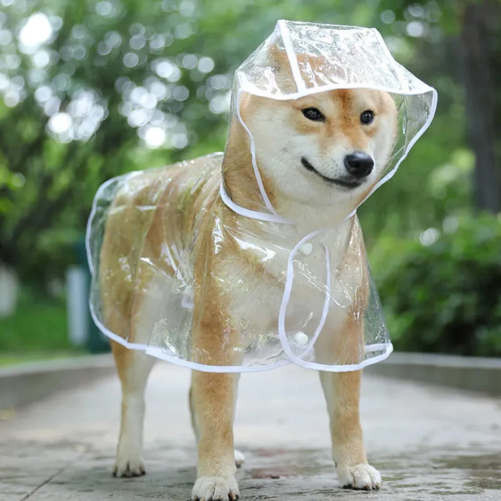 Dog Raincoat - Capa de chuva transparente para cachorro,