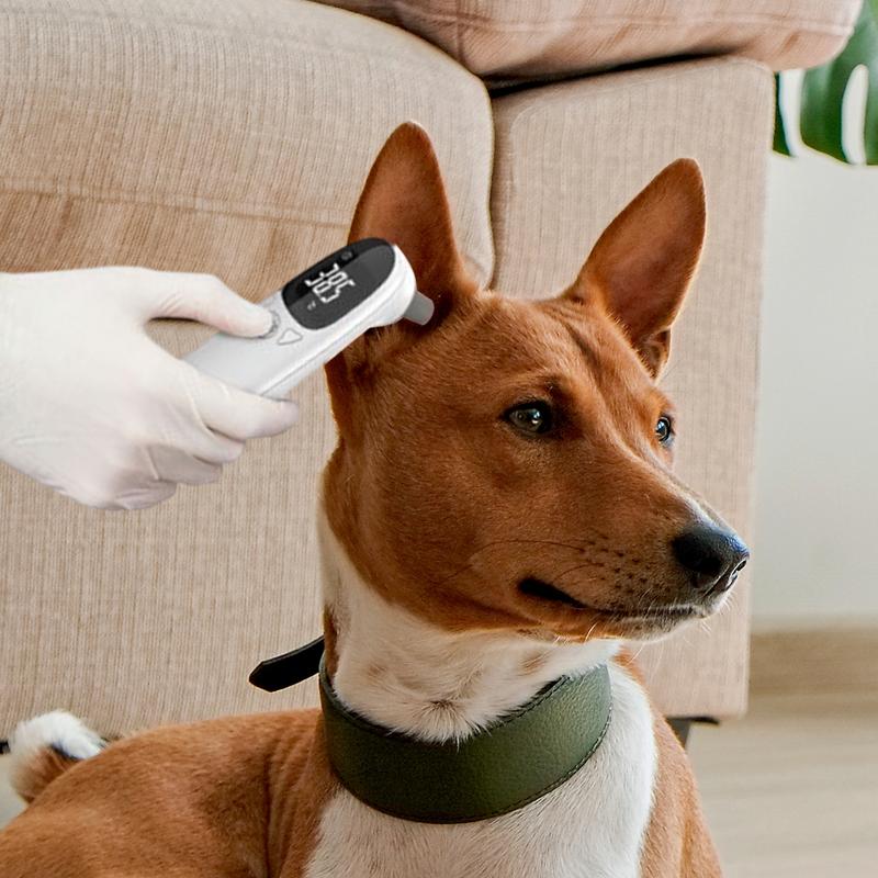 Pet Supplies Vet - Dispositivo preciso Detecção de Febre para