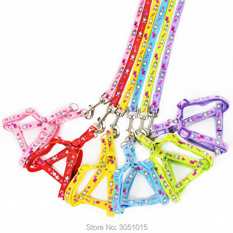 Pet Supplies Wholesale - Atacado 20 pçs gatinho filhote de