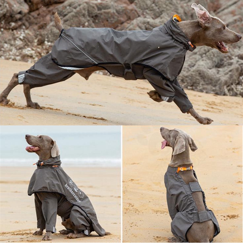 Dog Raincoat - Capa de chuva para cães, à