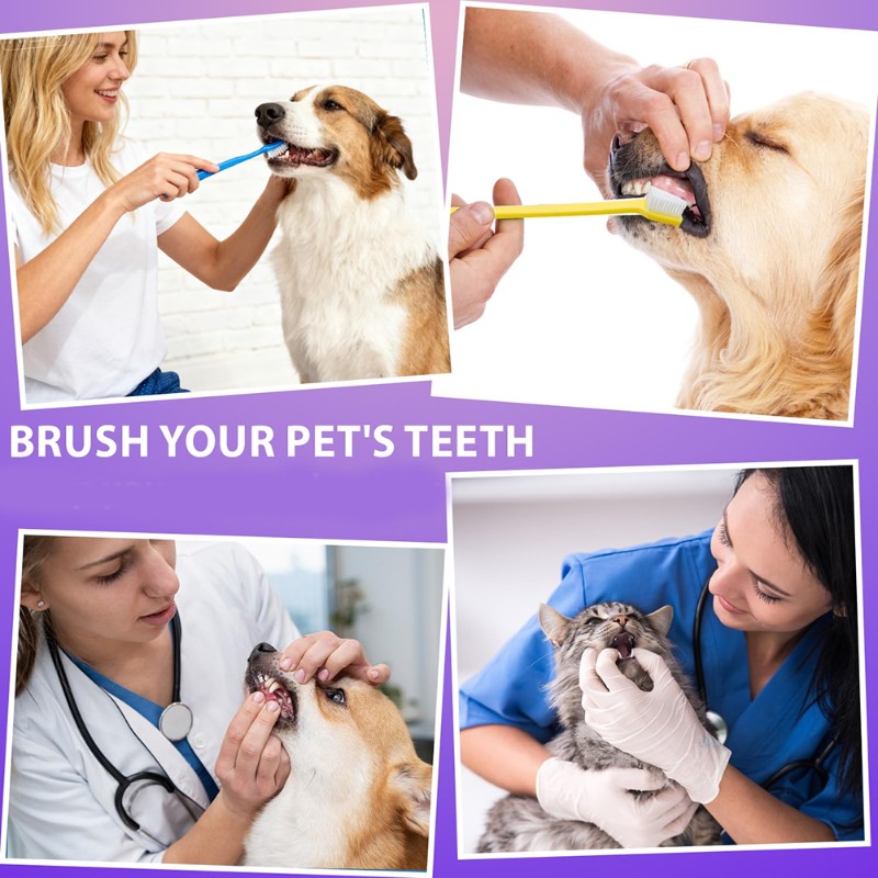 Dog Paw Cleaner - Ab66-ferramenta de higiene oral para cães-escova