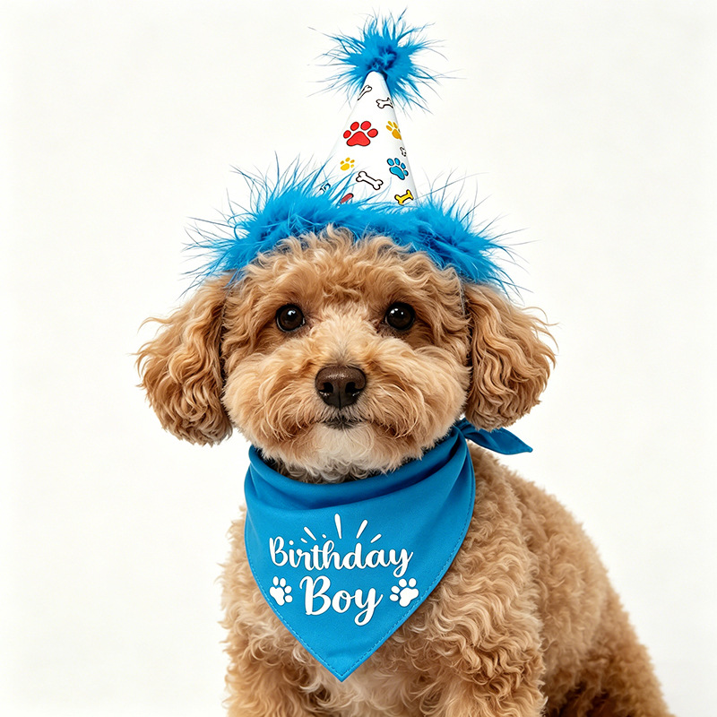 Conjunto de Festa de Aniversár - Pet Supplies In Bulk avaliação e preço