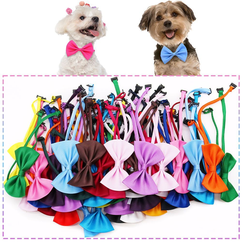Coleiras Ajustáveis com Laço p - Pet Supplies In Bulk avaliação e preço
