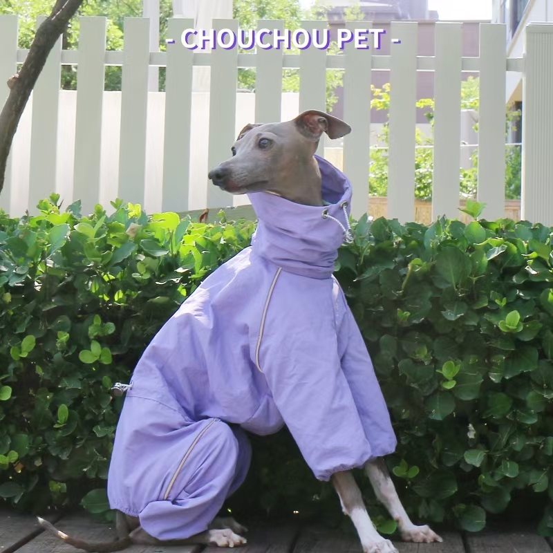 Capa de chuva galgo italiano o - Dog Raincoat avaliação e preço