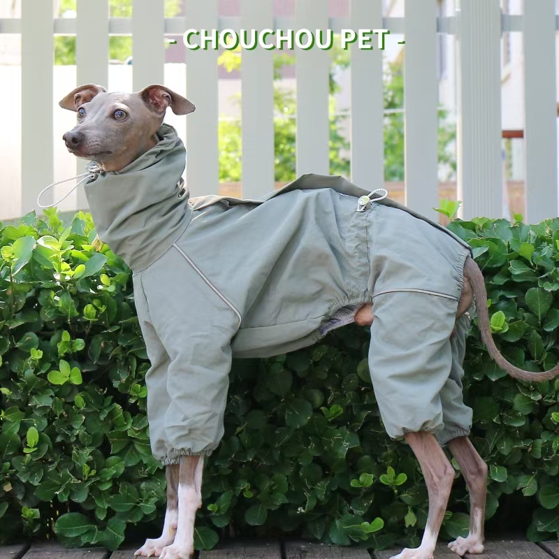 Capa de chuva galgo italiano o - Dog Raincoat avaliação e preço
