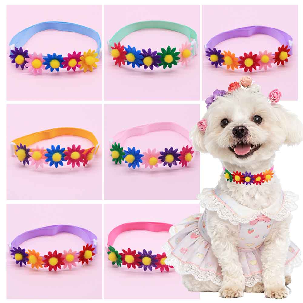 50 Laços Coloridos para Cães,  - Pet Supplies Wholesale avaliação e preço