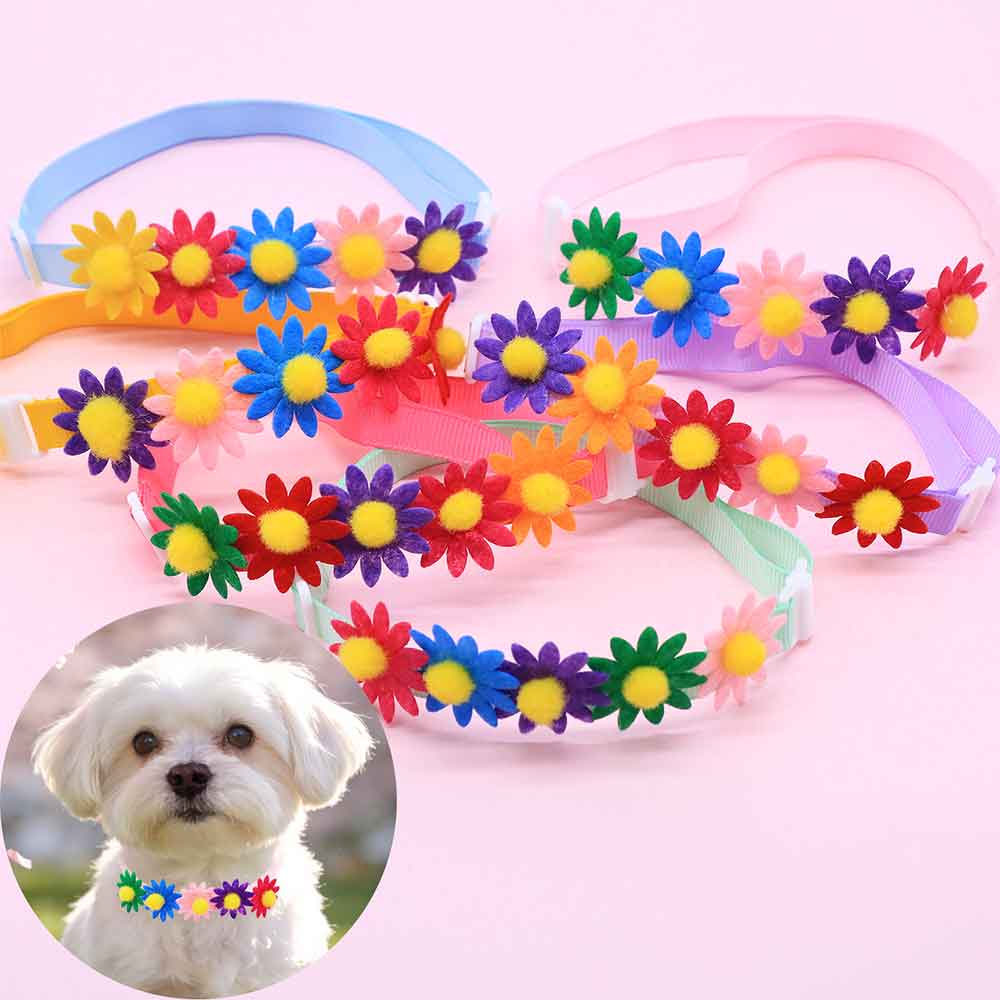 50 Laços Coloridos para Cães,  - Pet Supplies Wholesale avaliação e preço