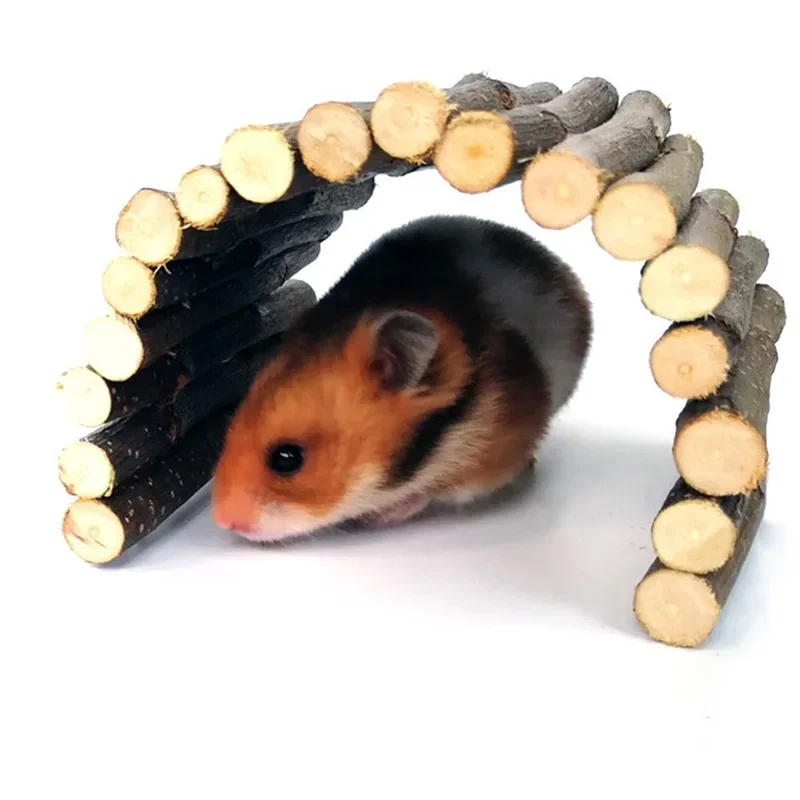 Pequeno animal de estimação mo - Pet Supplies Login avaliação e preço