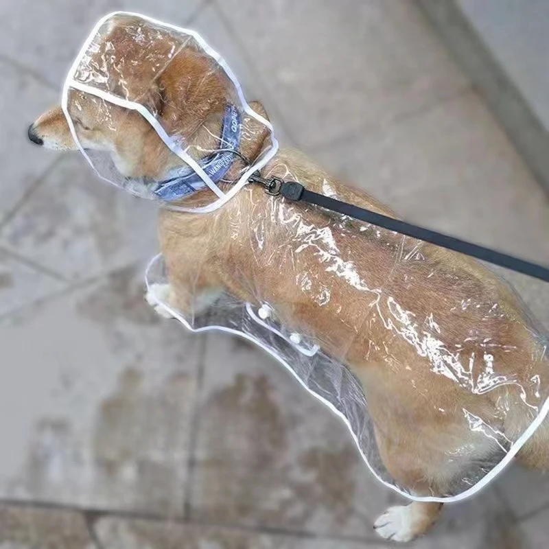 Capa de chuva transparente par - Dog Raincoat avaliação e preço