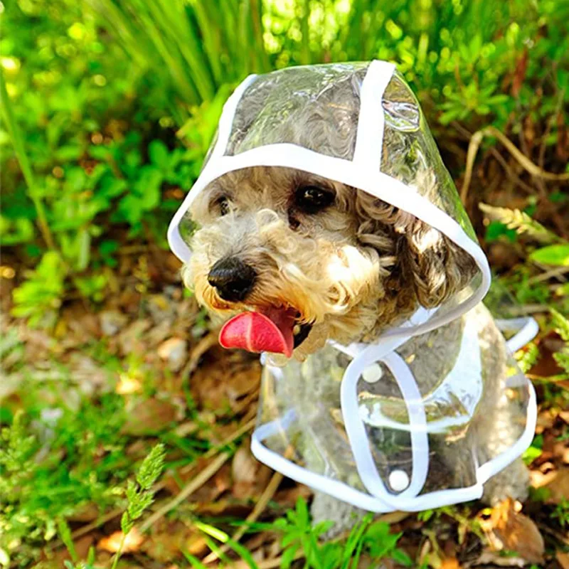Capa de chuva transparente par - Dog Raincoat avaliação e preço