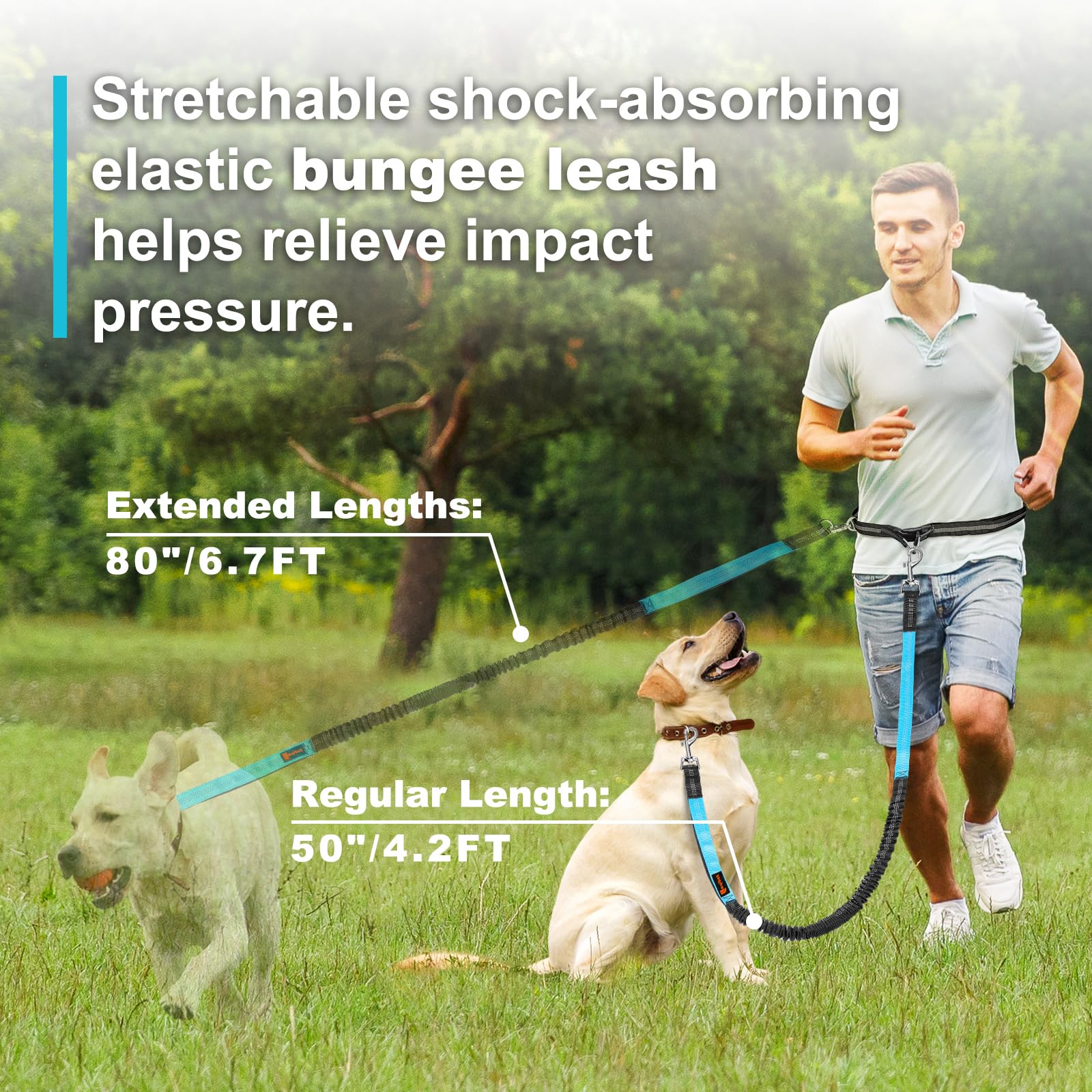 Trela de corrida reflexiva elá - Pet Supplies Wholesale avaliação e preço