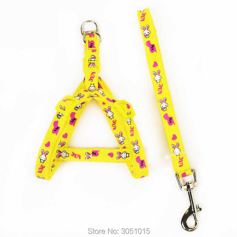 Atacado 20 pçs gatinho filhote - Pet Supplies Wholesale avaliação e preço