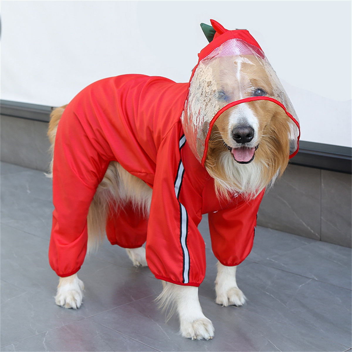 Capa de chuva para cães, à pro - Dog Raincoat avaliação e preço