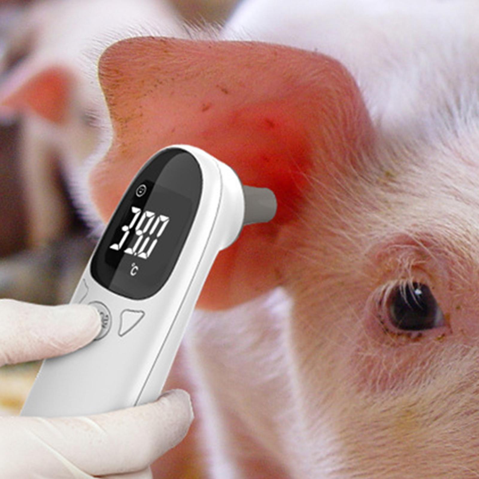 Termômetro de Ouvido para Cães - Pet Supplies Vet avaliação e preço