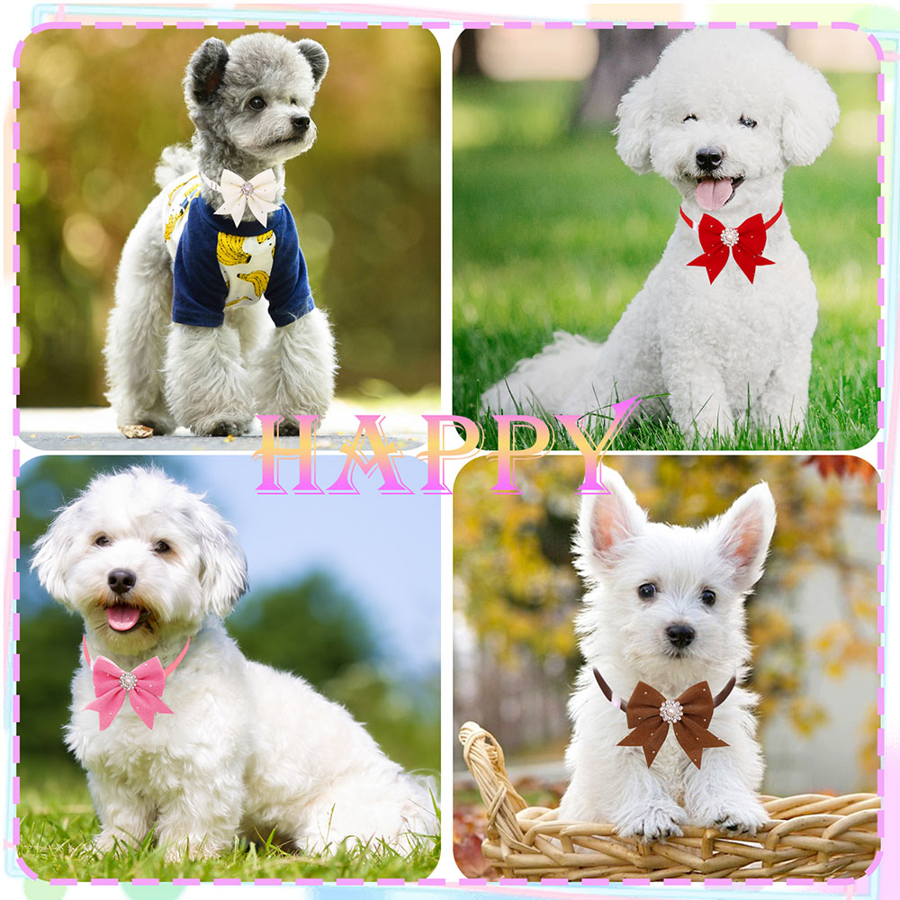 Fita Floral do cão Laço, Diama - Pet Supplies In Bulk avaliação e preço