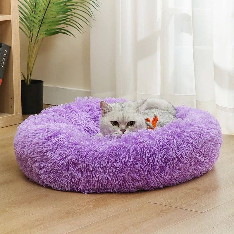 Cama para Cachorro de Algodão  - Pet Supplies In Australia avaliação e preço