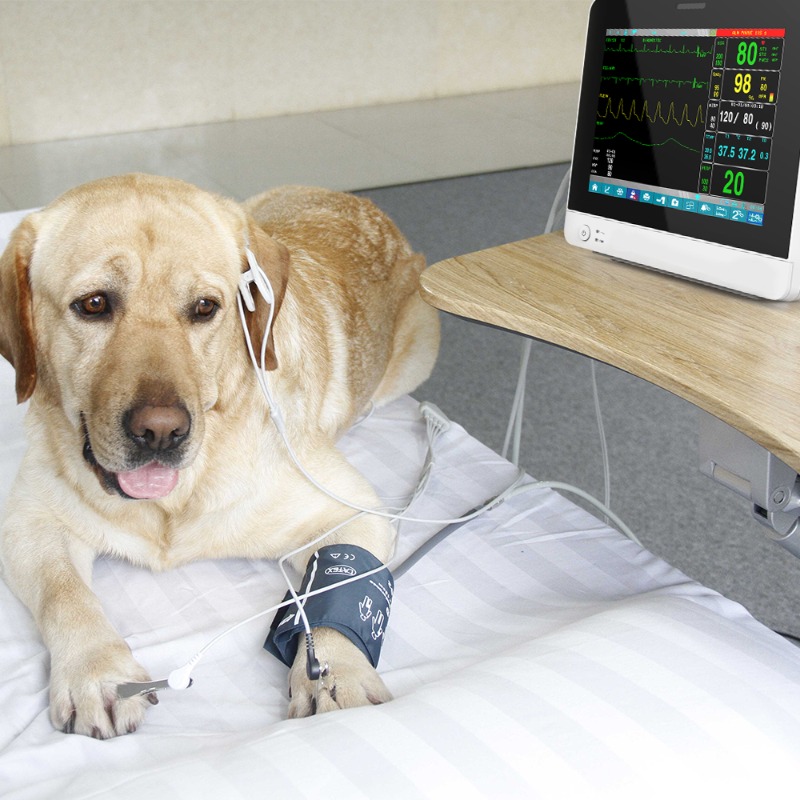 Veterinário animal de estimaçã - Pet Supplies Vet avaliação e preço