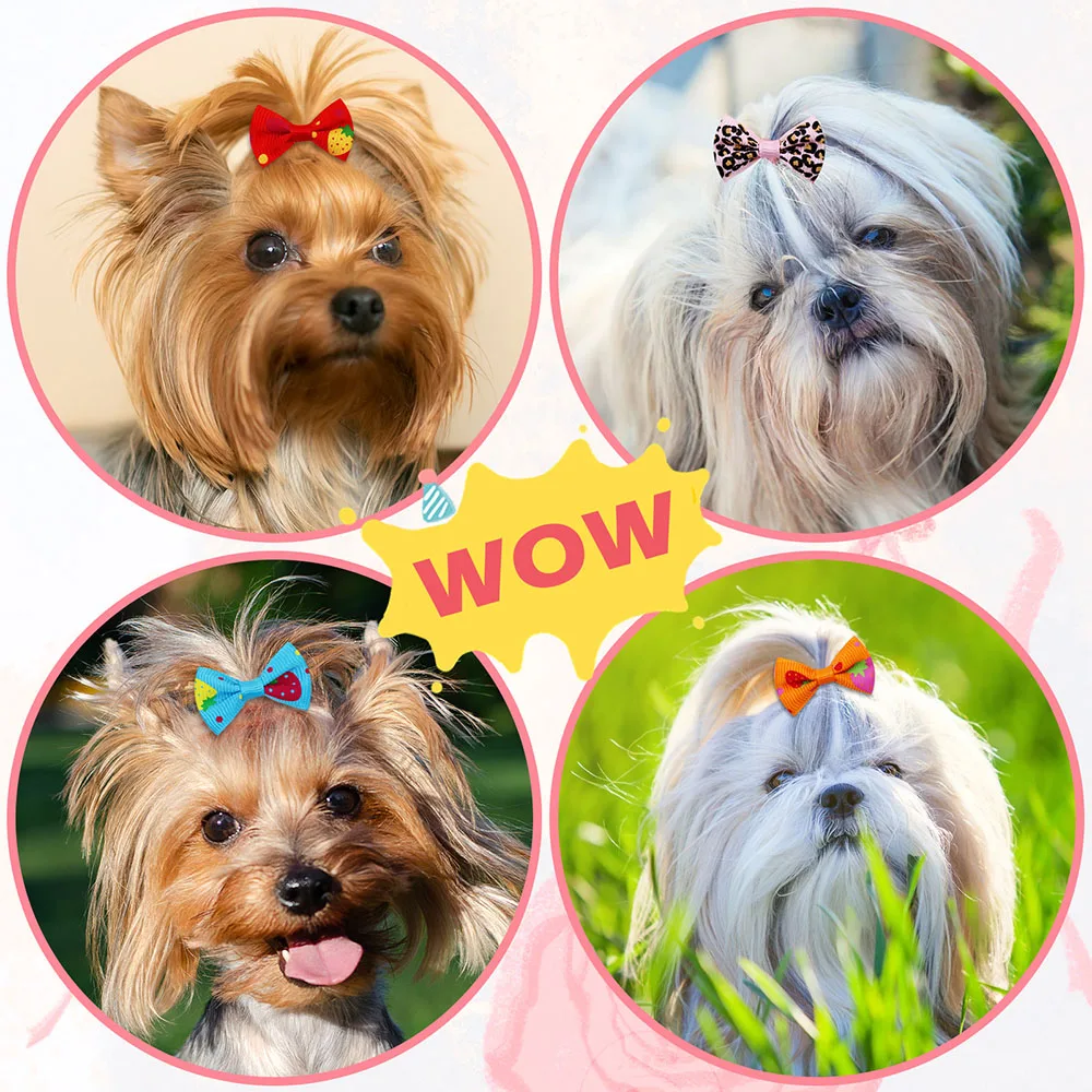 50 pçs arcos do cão com faixas - Pet Supplies In Bulk avaliação e preço